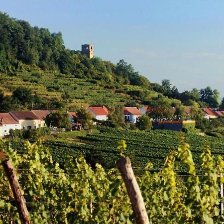 Appartement Prabatsch-Aichinger Winzergut à Langenlois Extérieur photo