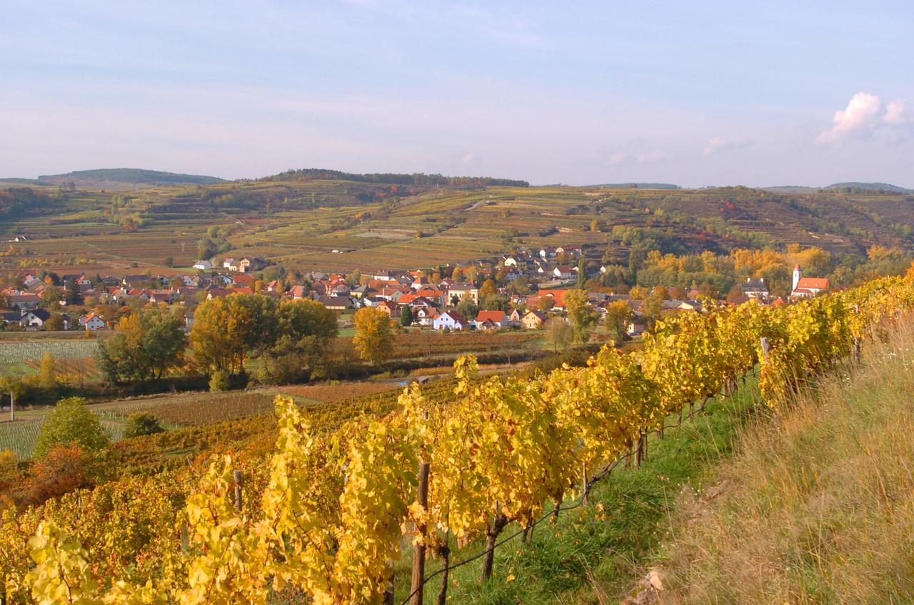 Appartement Prabatsch-Aichinger Winzergut à Langenlois Extérieur photo