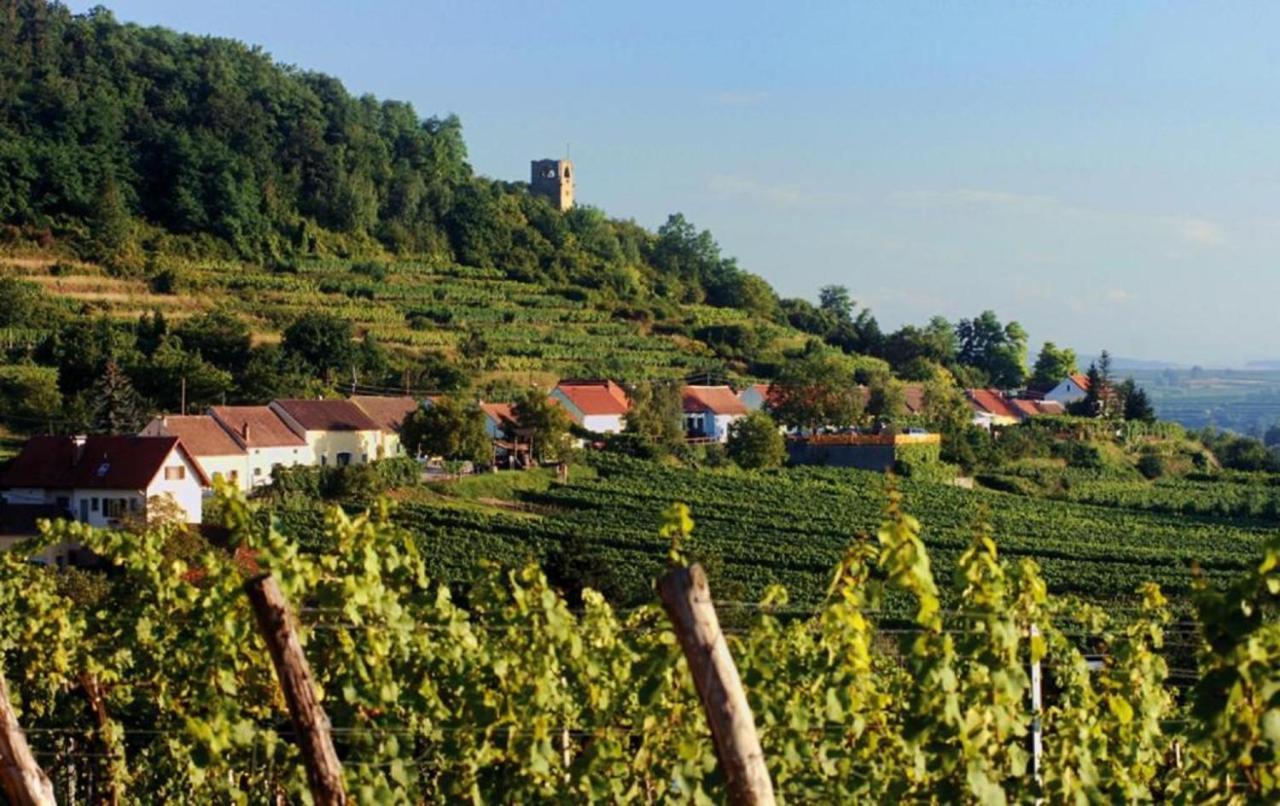 Appartement Prabatsch-Aichinger Winzergut à Langenlois Extérieur photo